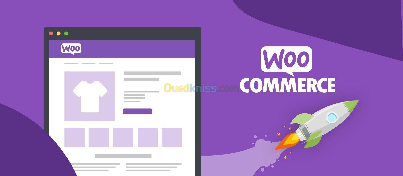 Gestionnaire WooCommerce - à Distance