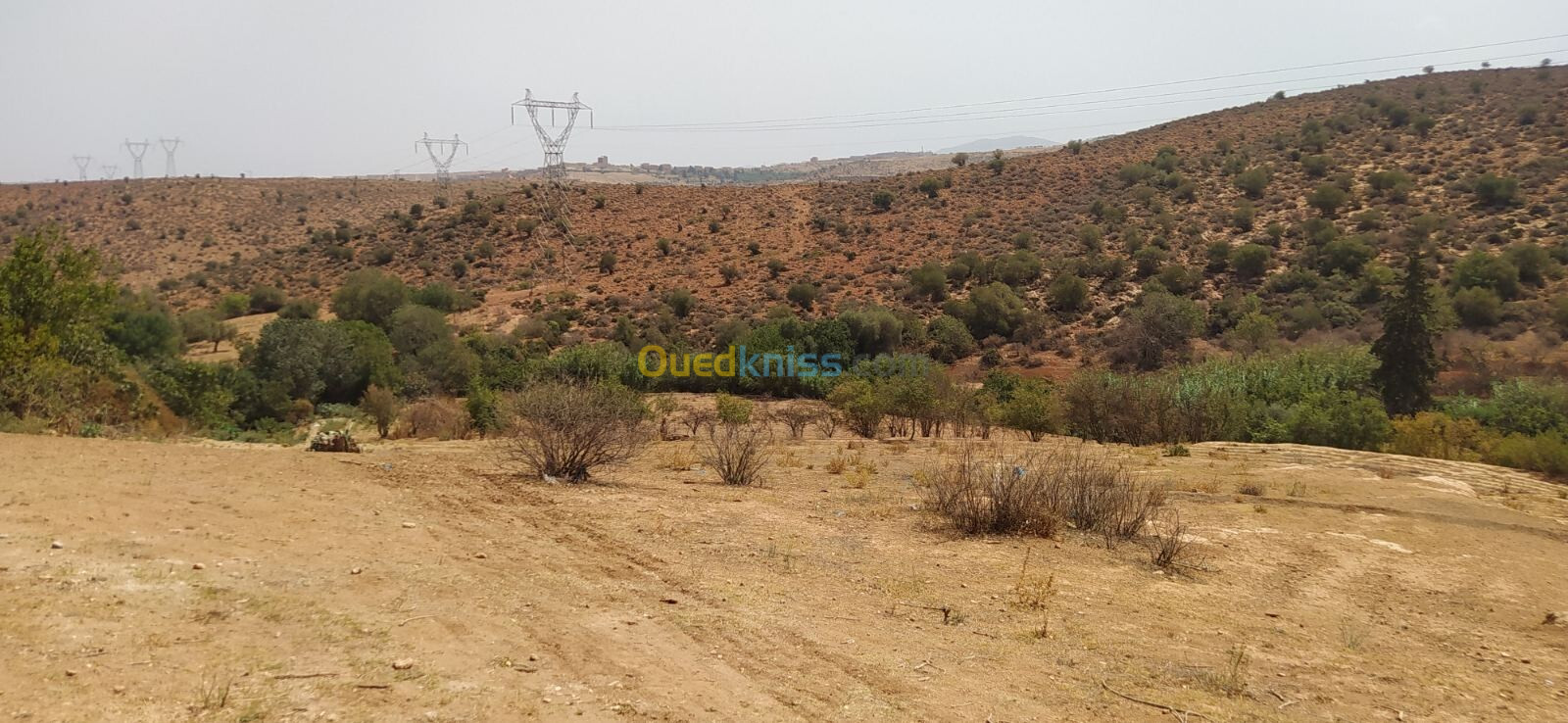 Vente Terrain Tlemcen Tlemcen