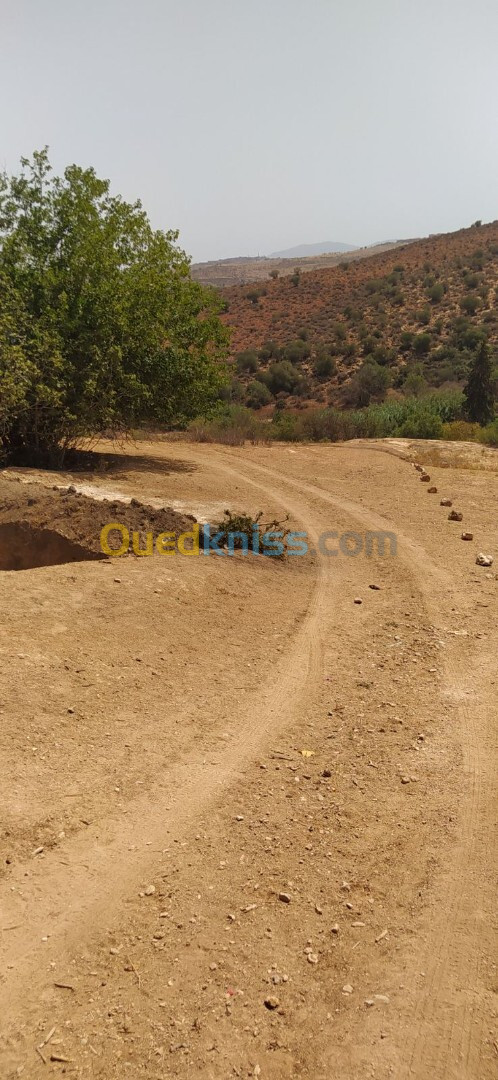 Vente Terrain Tlemcen Tlemcen