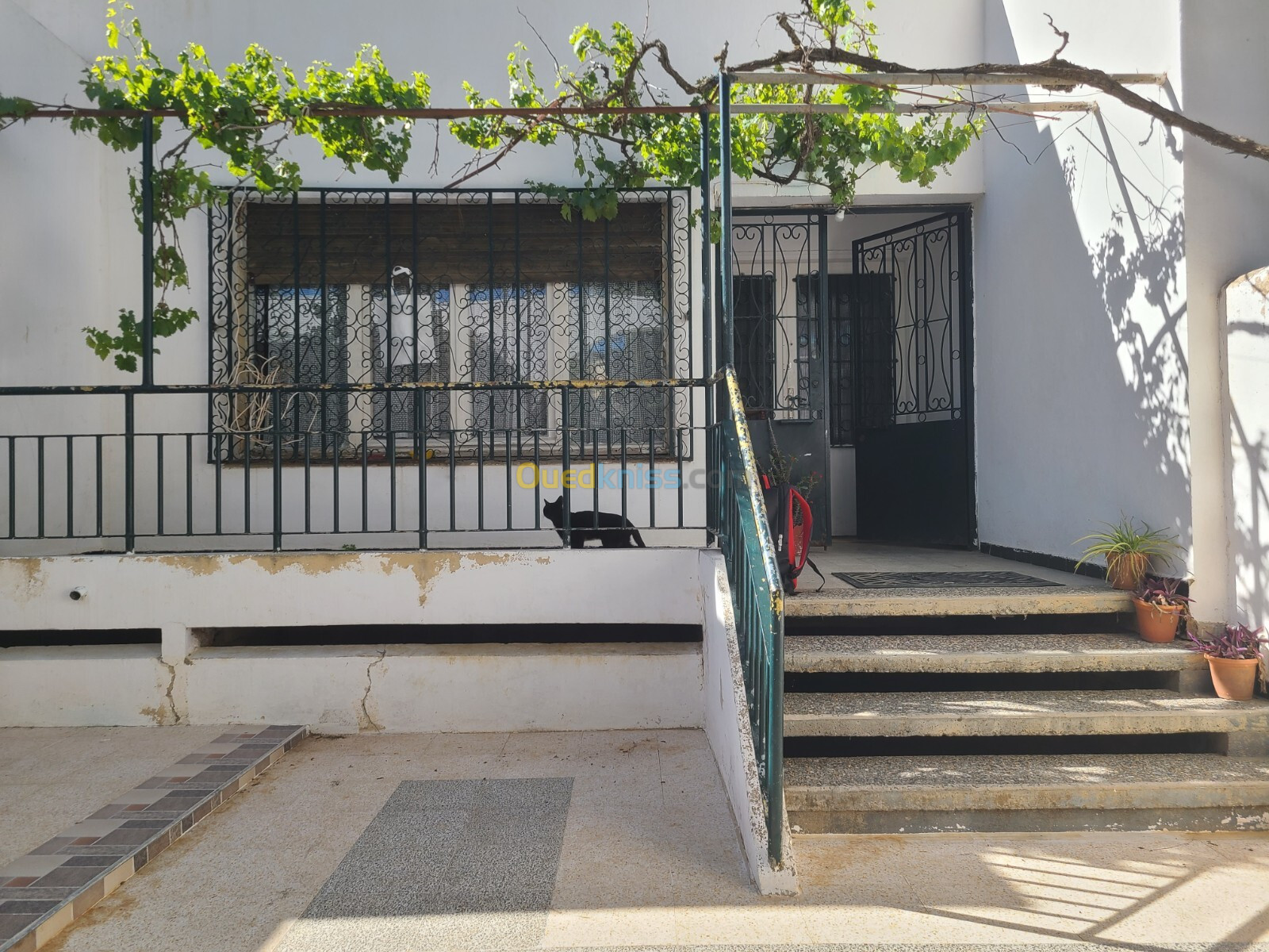 Vente Villa Alger Ben aknoun