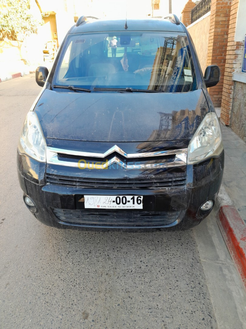 Citroen Berlingo 2010 