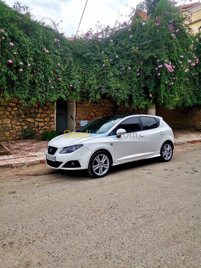 Seat Ibiza 2011 Loca