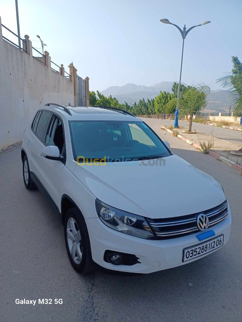 Volkswagen Tiguan 2012 Style