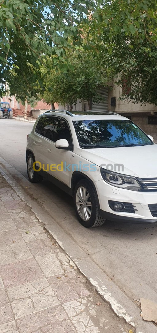 Volkswagen Tiguan 2013 Life