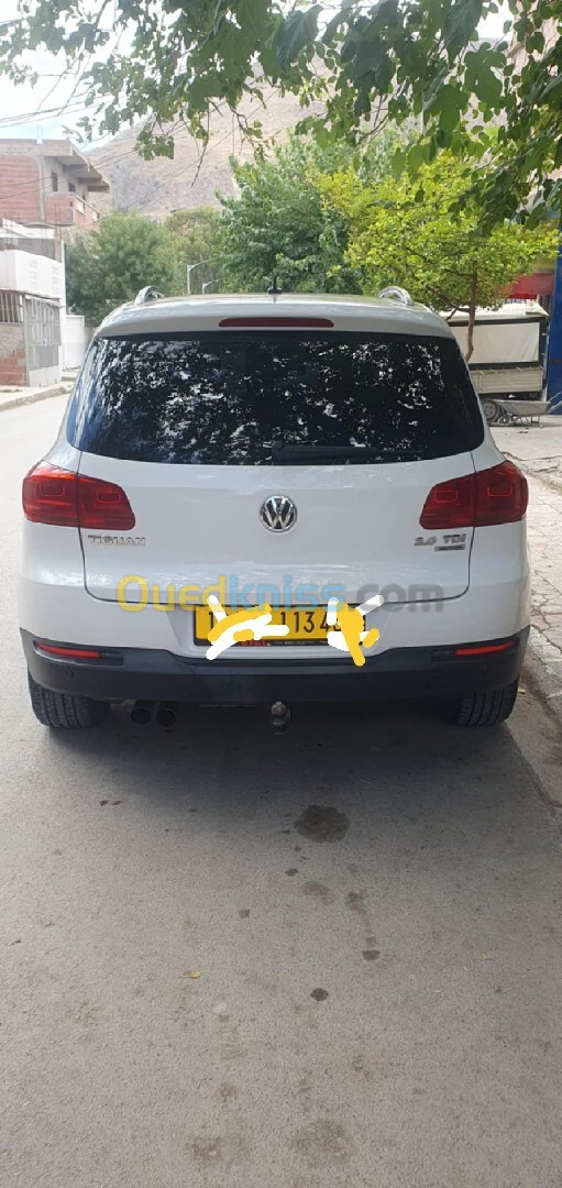 Volkswagen Tiguan 2013 Life