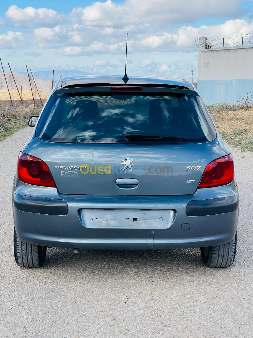 Peugeot 307 2006 Oxygo