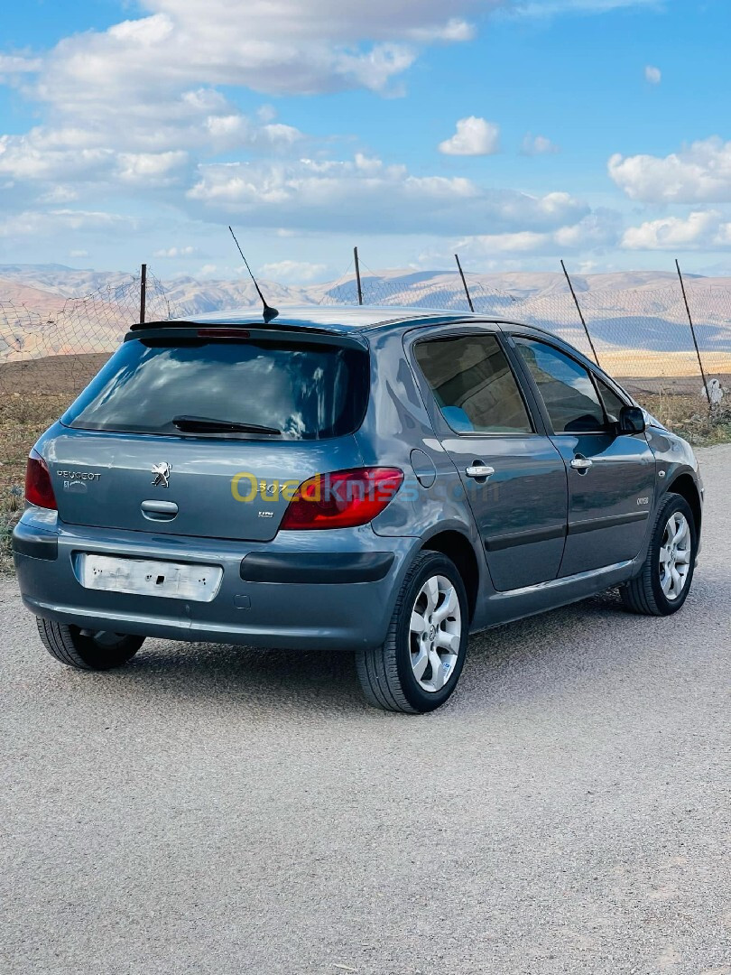 Peugeot 307 2006 Oxygo