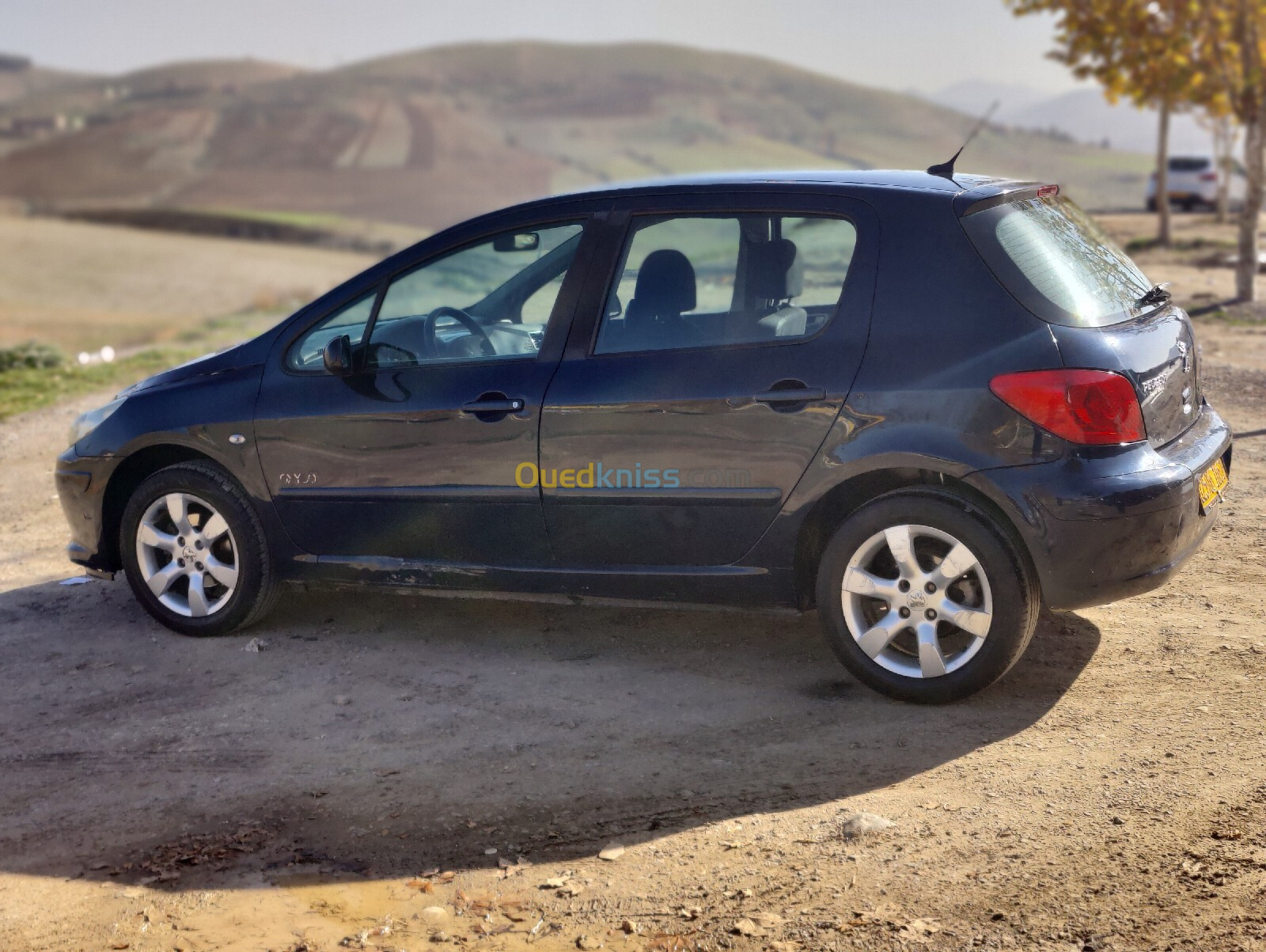 Peugeot 307 2006 Oxygo