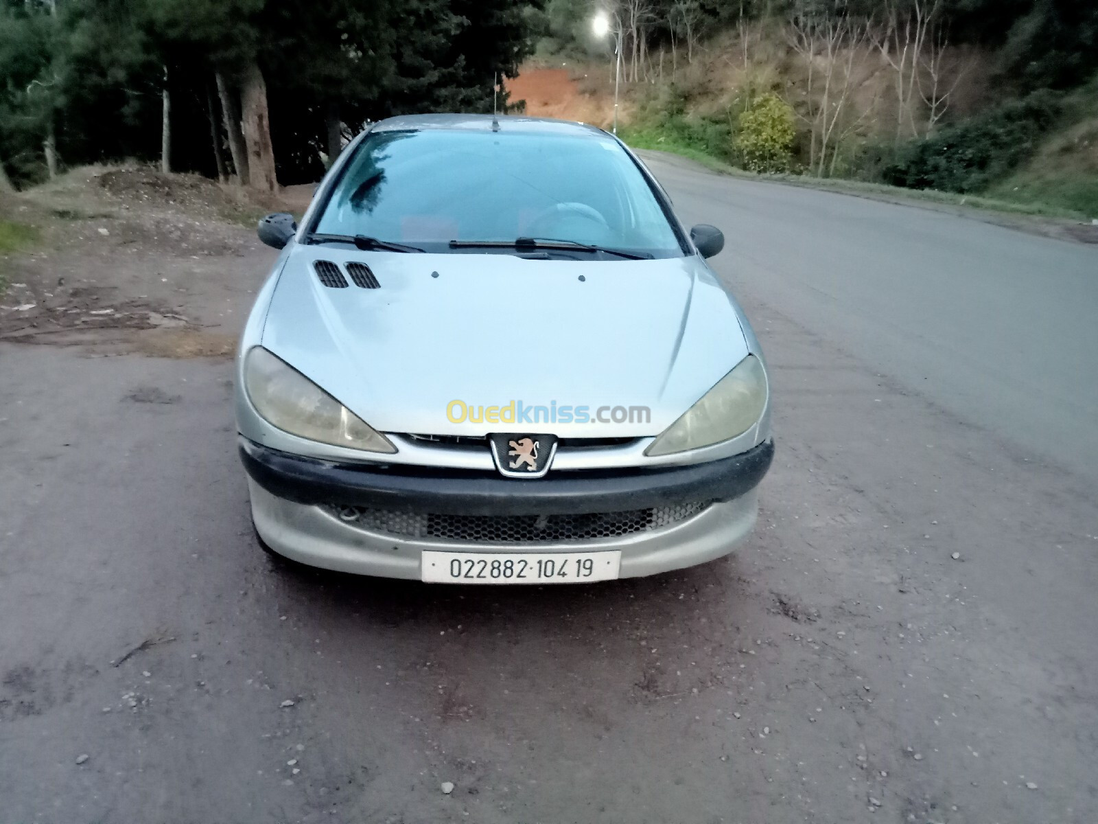 Peugeot 206 2004 206