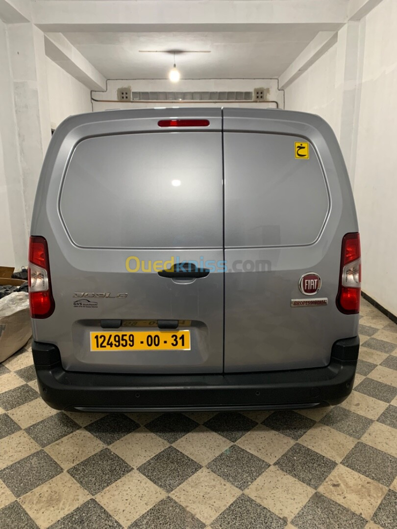 Fiat Doblo 2024 Professional