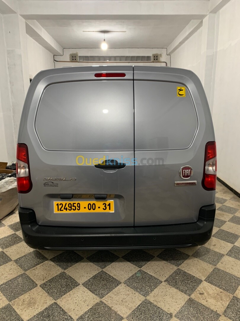 Fiat Doblo 2024 Professional