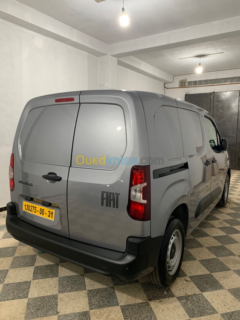 Fiat Doblo 2024 Professional