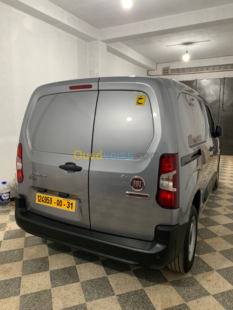 Fiat Doblo 2024 Professional