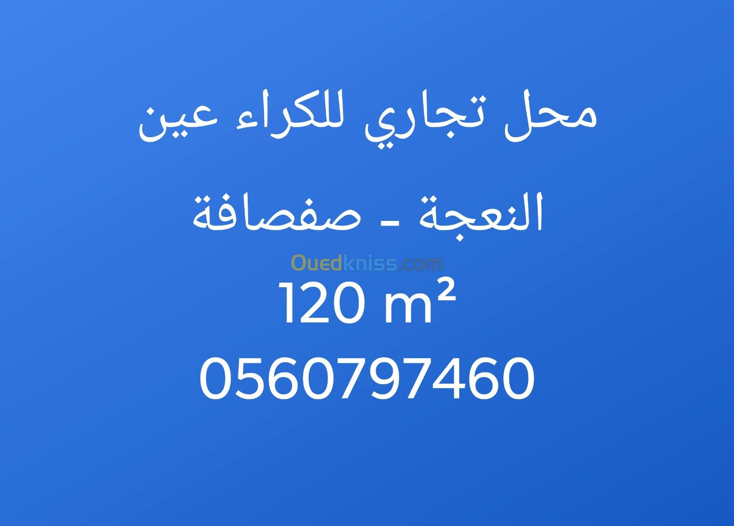 Location Local Alger Ain naadja