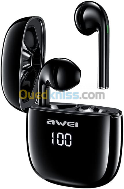 KIT EARBUDS AWEI T28P