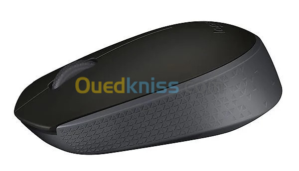 SOURIS LOGITECH SANS FIL M171 NOIR