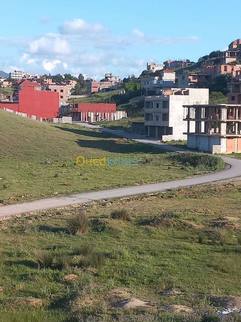 Vente Terrain Boumerdès Tidjelabine