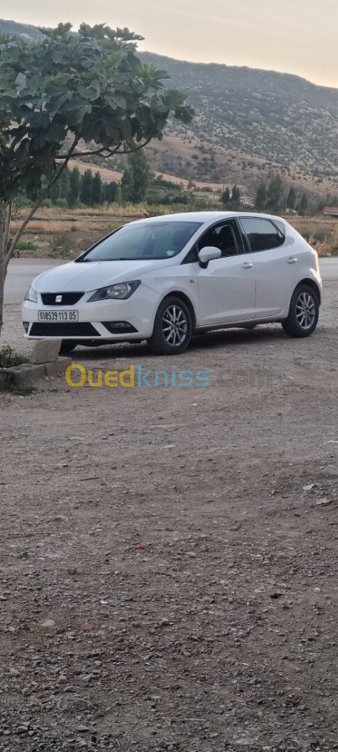 Seat Ibiza 2013 Fully