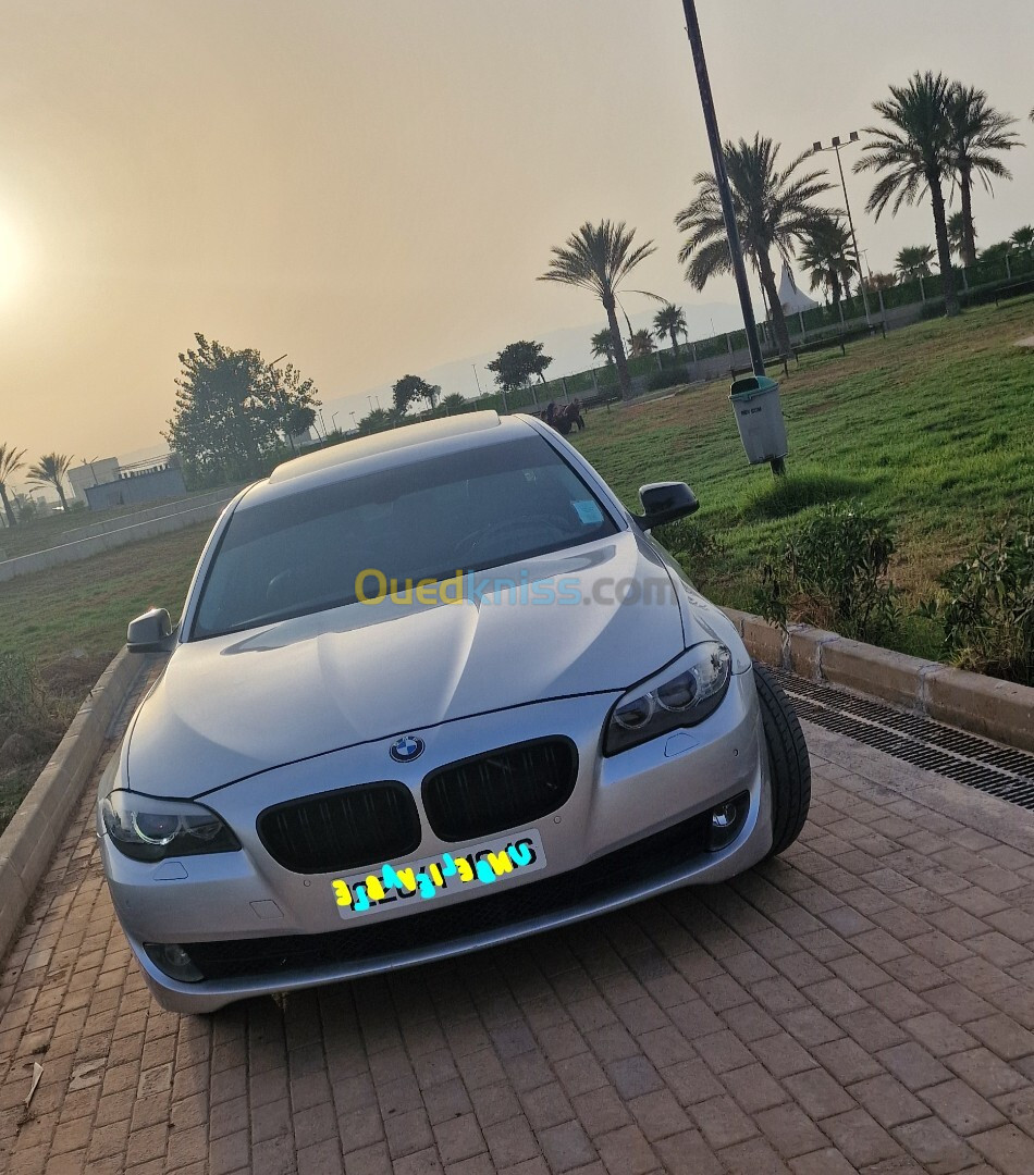 BMW Série 5 2010 F10