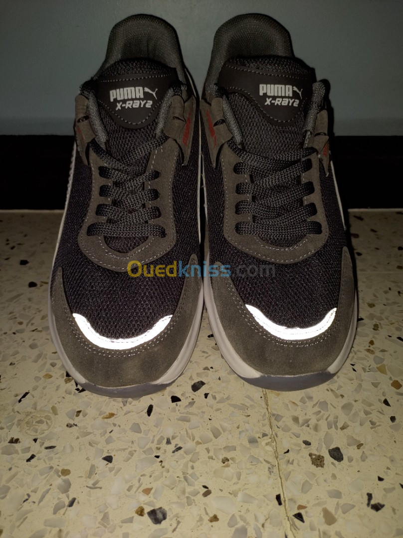 Puma x-ray 2 