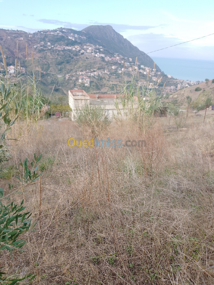 Vente Terrain Béjaïa Aokas