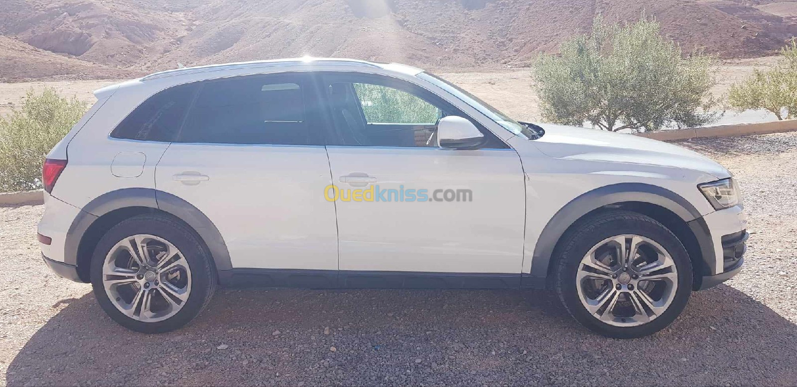 Audi Q5 2013 Off Road