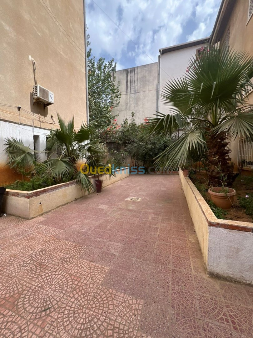 Location Appartement F5 Alger Cheraga