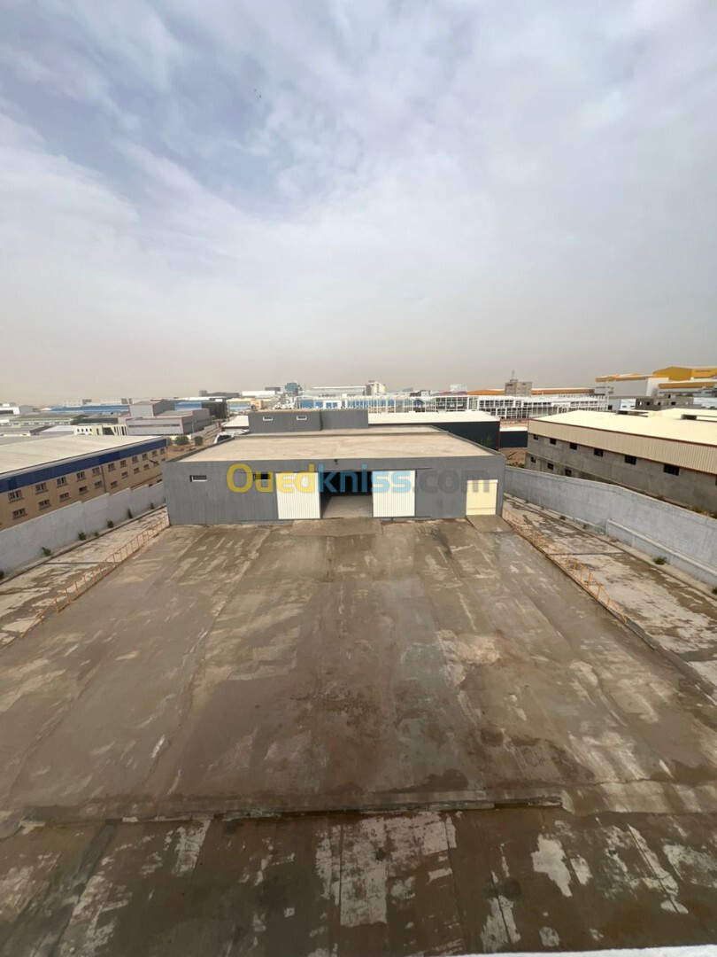 Location Hangar Sétif Setif