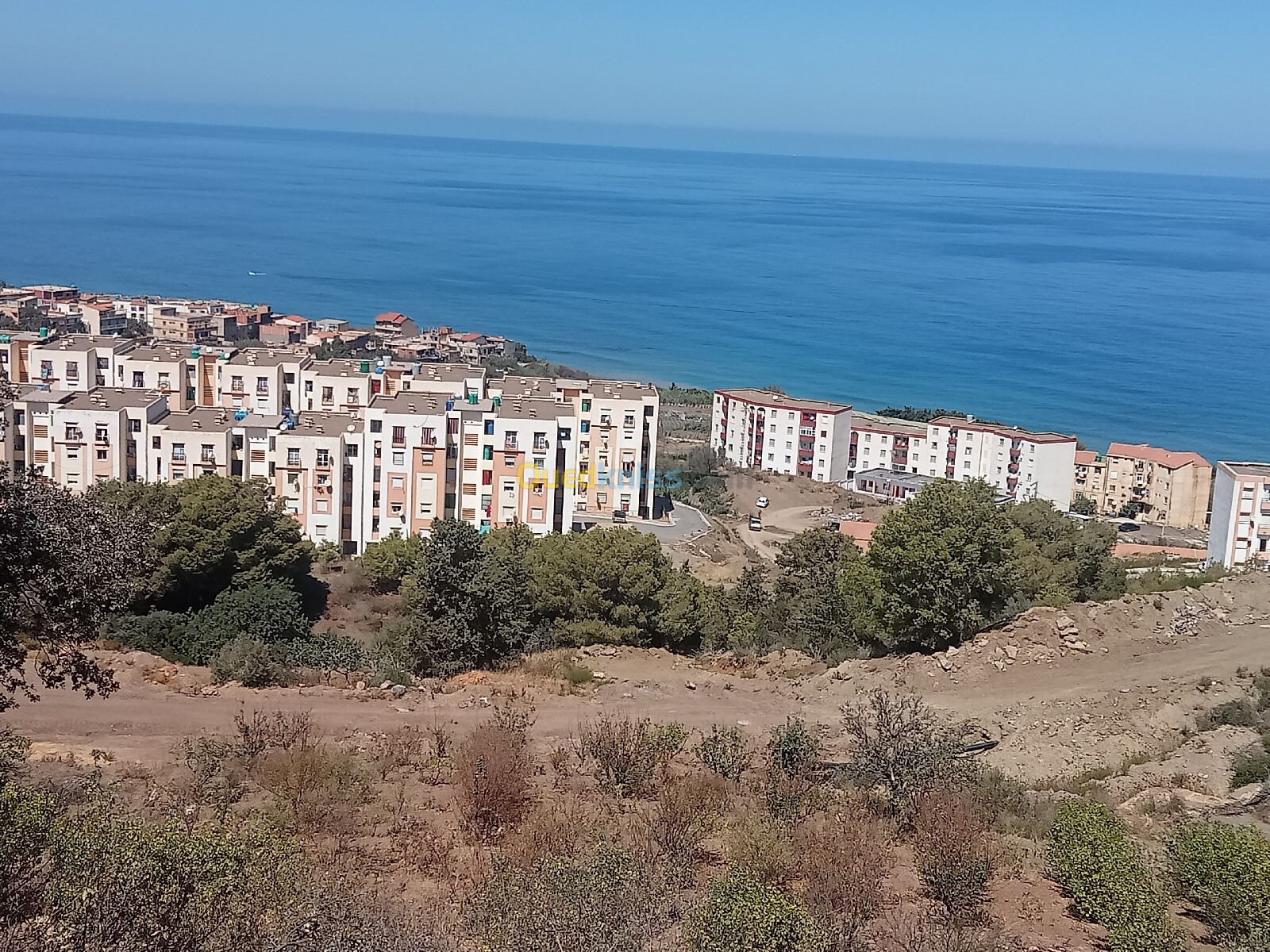 Vente Terrain Tipaza Larhat