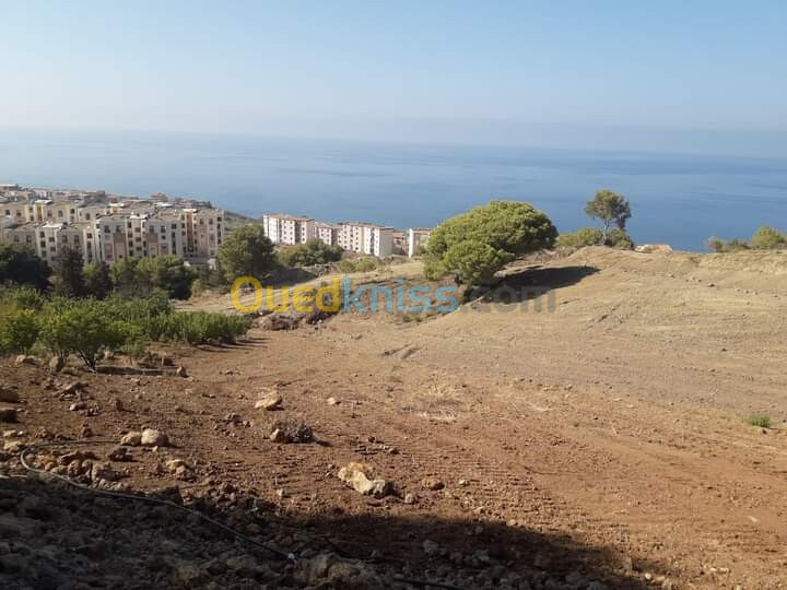 Vente Terrain Tipaza Larhat