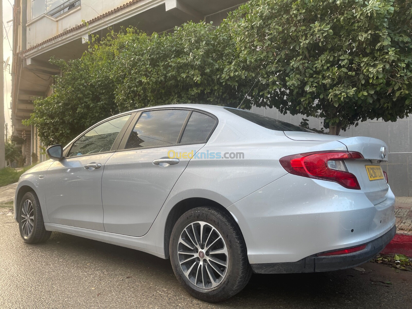 Fiat Tipo cité plus 2023 Cité plus