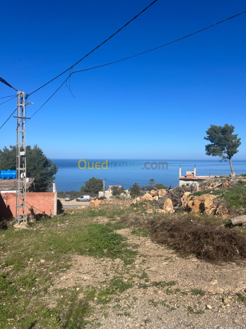 Vente Terrain Tipaza Larhat