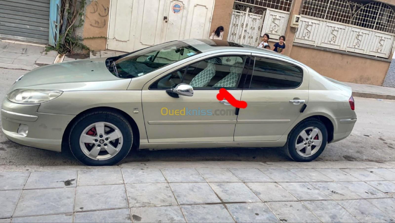 Peugeot 407 2008 407