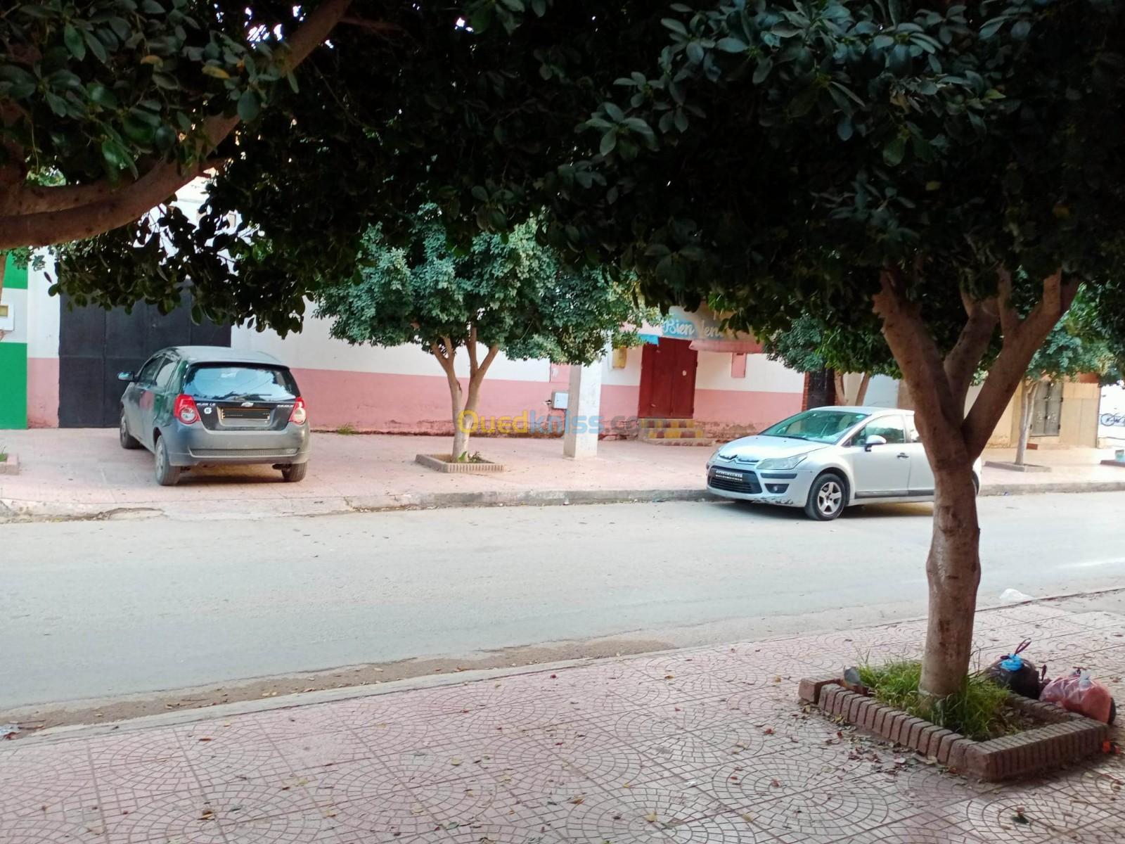 Vente Niveau De Villa F6 Chlef Ouled fares