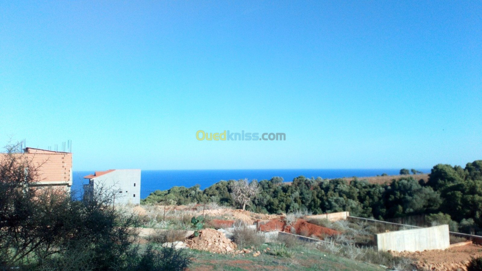 Vente Terrain Tipaza Ain tagourait