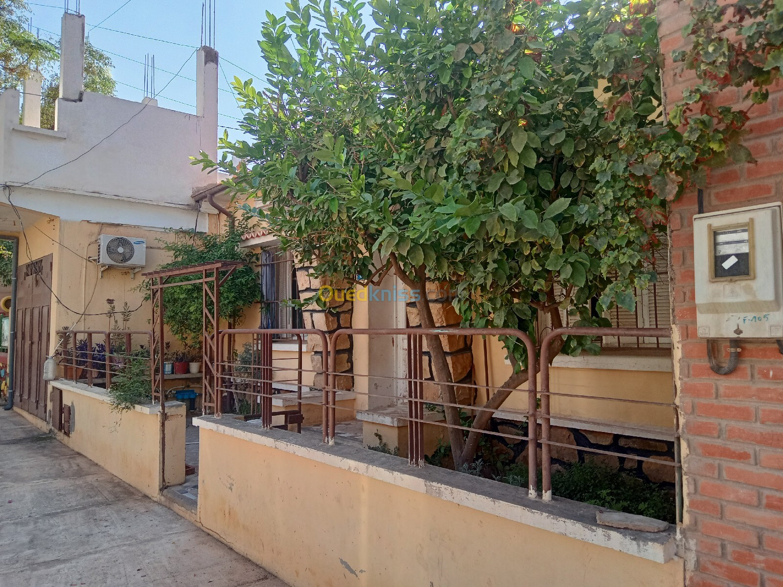 Vente Villa Sidi Bel Abbès Sidi bel abbes