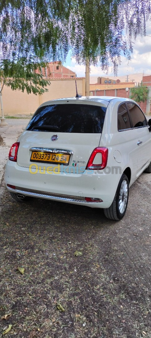 Fiat 500 club made in bladi 2024 500 made in bladi