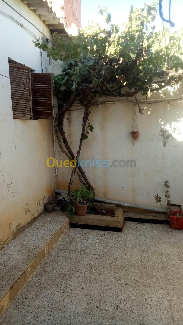 Vente Niveau De Villa F3 Oran Oran