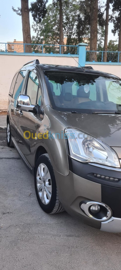 Citroen Berlingo Multispace 2015 Xtr