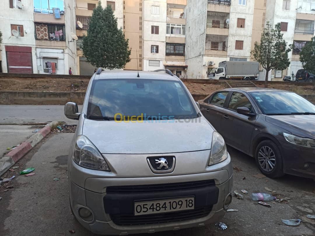 Peugeot Partner 2009 Tepee