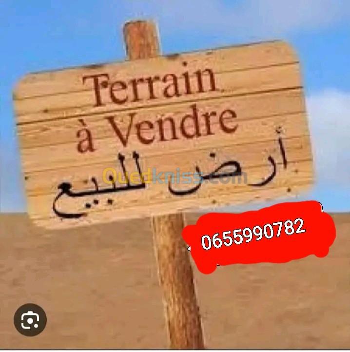 Vente Terrain Chlef Sobha