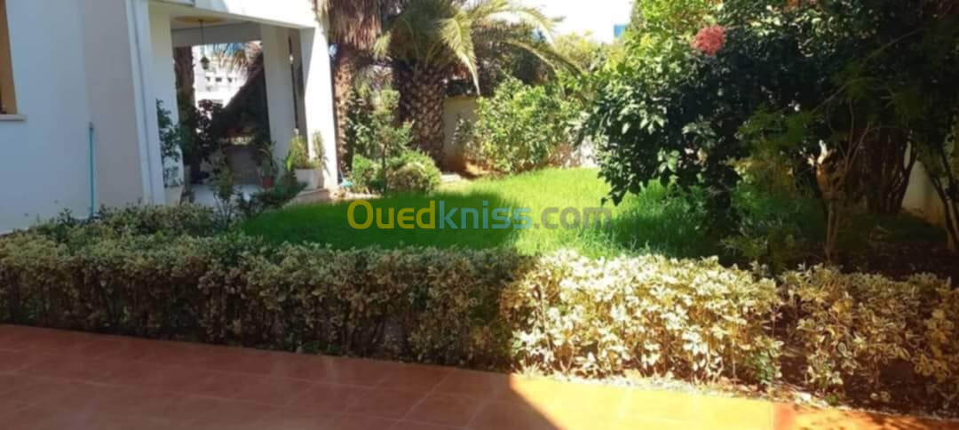 Vente Villa Alger Hussein dey