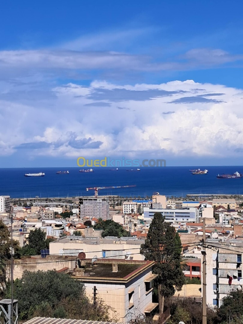 Vente Villa Alger Kouba