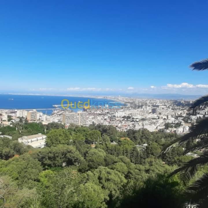 Vente Villa Alger Kouba