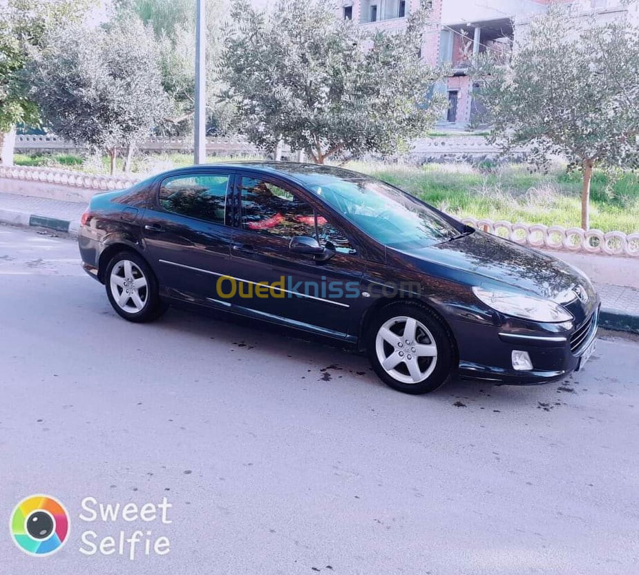 Peugeot 407 2007 407