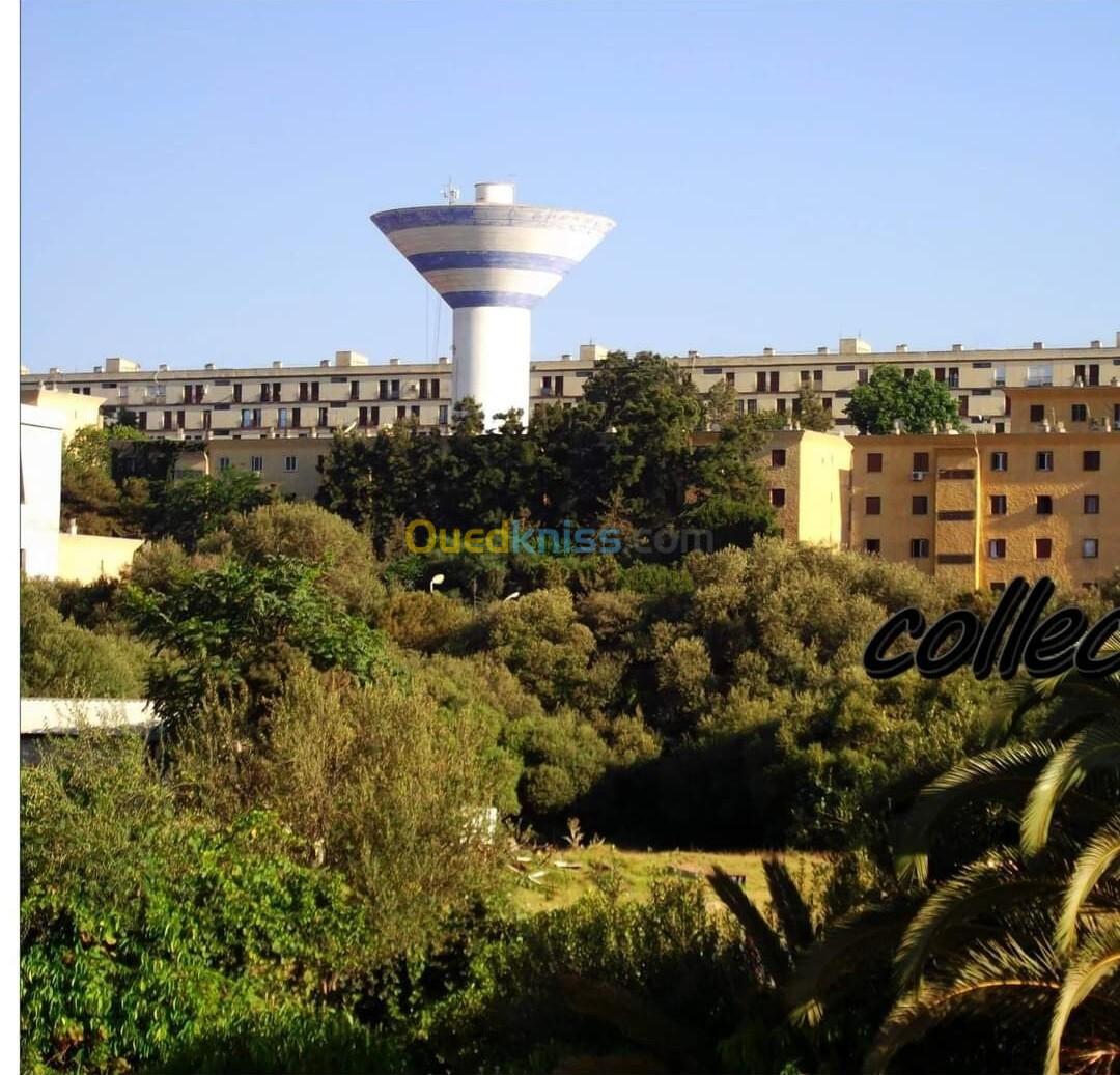 Location Appartement F4 Alger Mohammadia