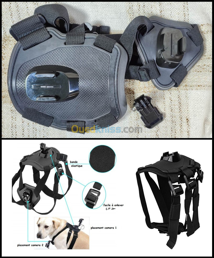 Fixation chien pour GoPro action cam 