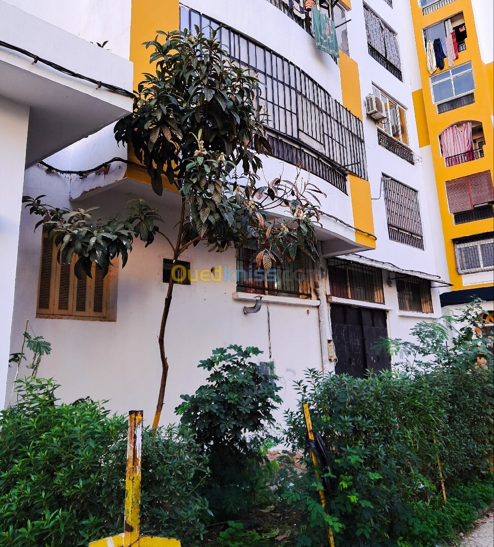 Vente Appartement F4 Blida Ouled yaich