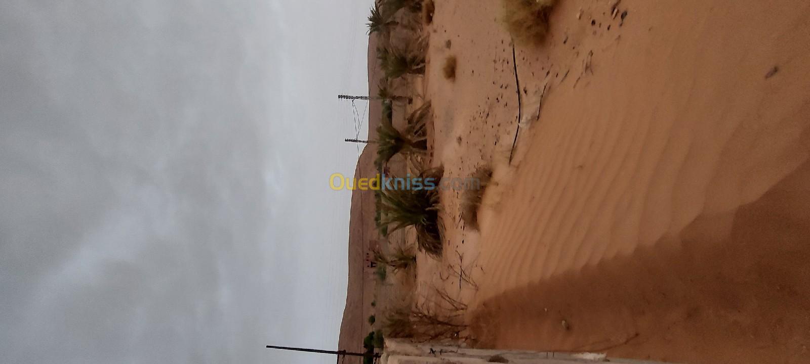 Vente Terrain Ghardaïa Ghardaia