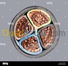 Tout types de câbles électriques sont disponibles chez SARL DYLA ELECTRIC 